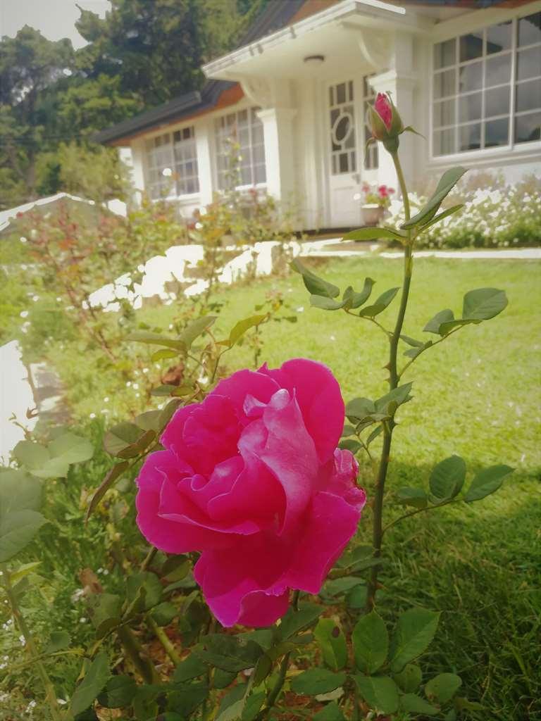 The Victoria Bungalow Nuwara Eliya Dış mekan fotoğraf